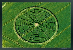 Cercle de blé